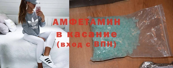 дживик Ельня