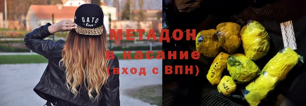 дживик Ельня