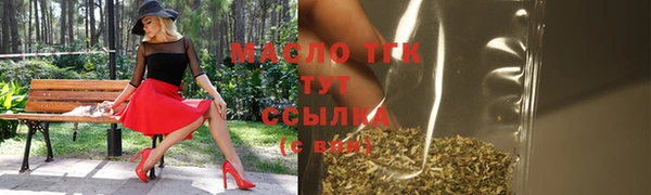 дживик Ельня
