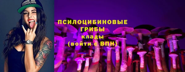 дживик Ельня