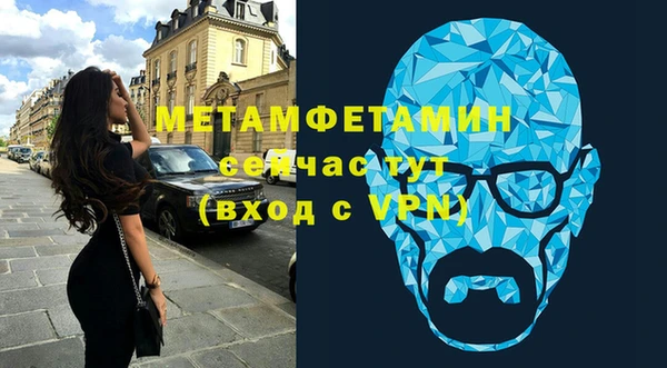 дживик Ельня