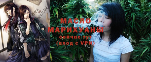 дживик Ельня
