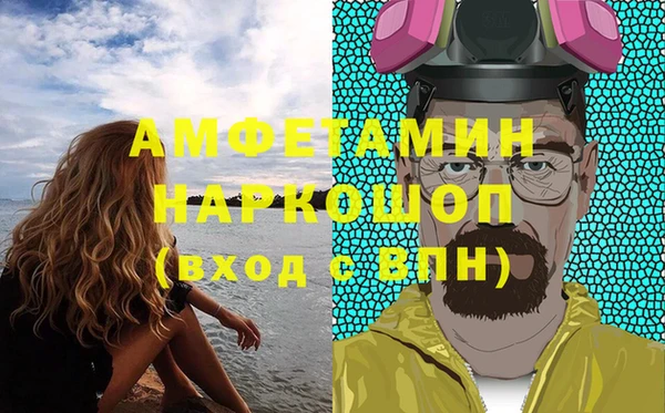дживик Ельня