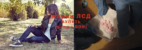 дживик Ельня