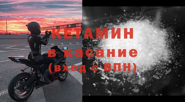 дживик Ельня