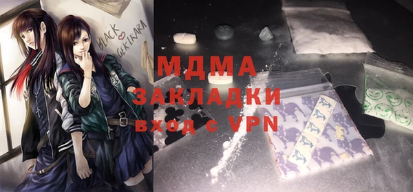 дживик Ельня