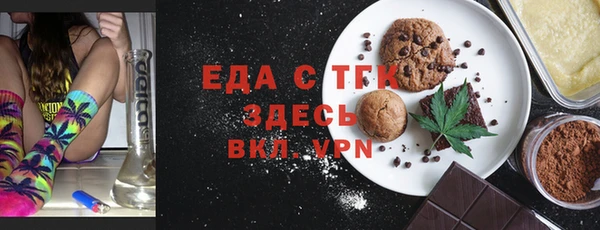 дживик Ельня